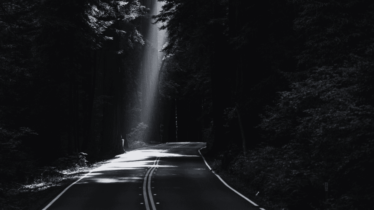 Kaizen Quarterly Spotlight Campaigns: Nov – Jan