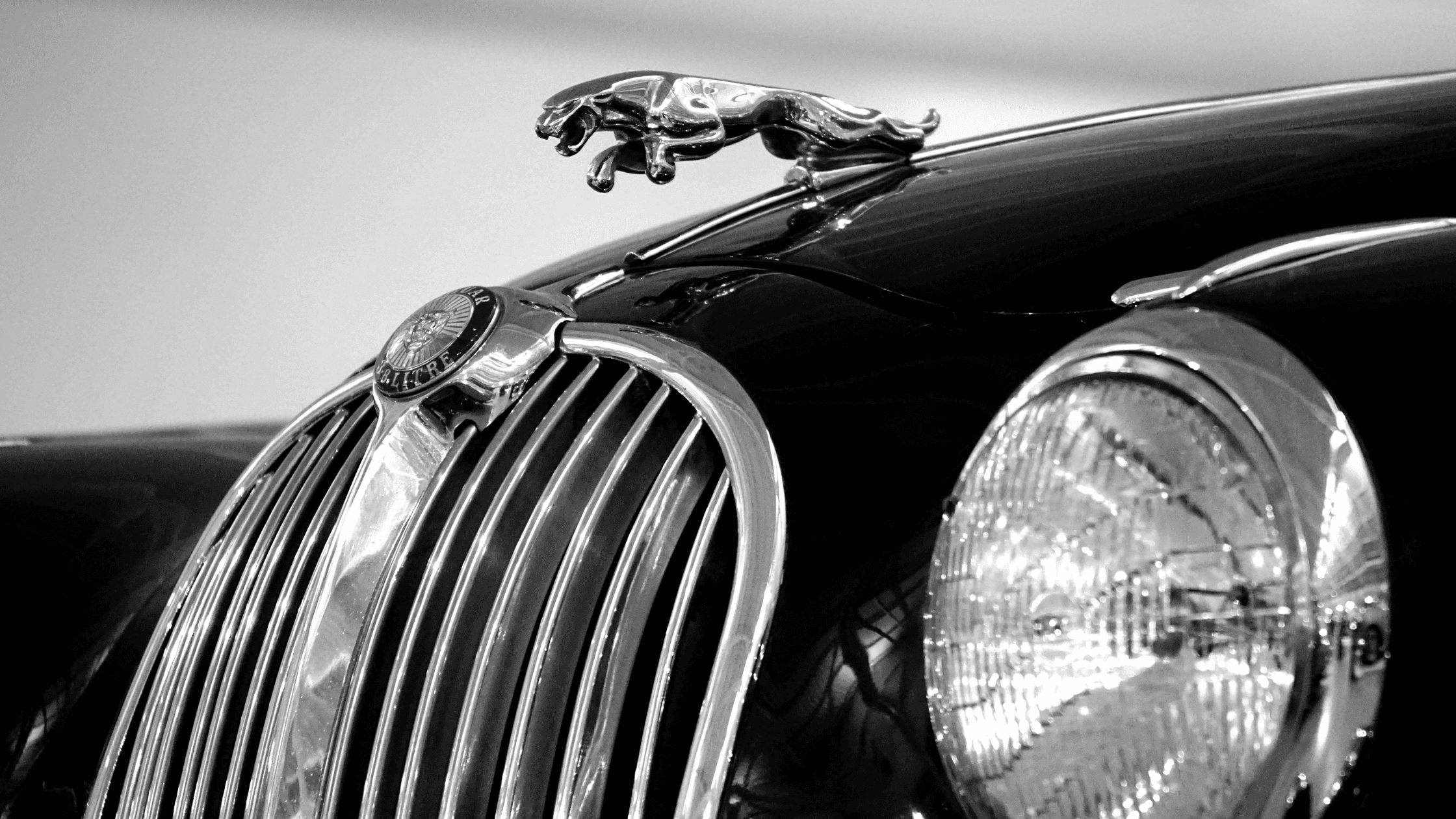 vintage black jag car with chrome detailing including the iconic jumping cat. Image in black and white