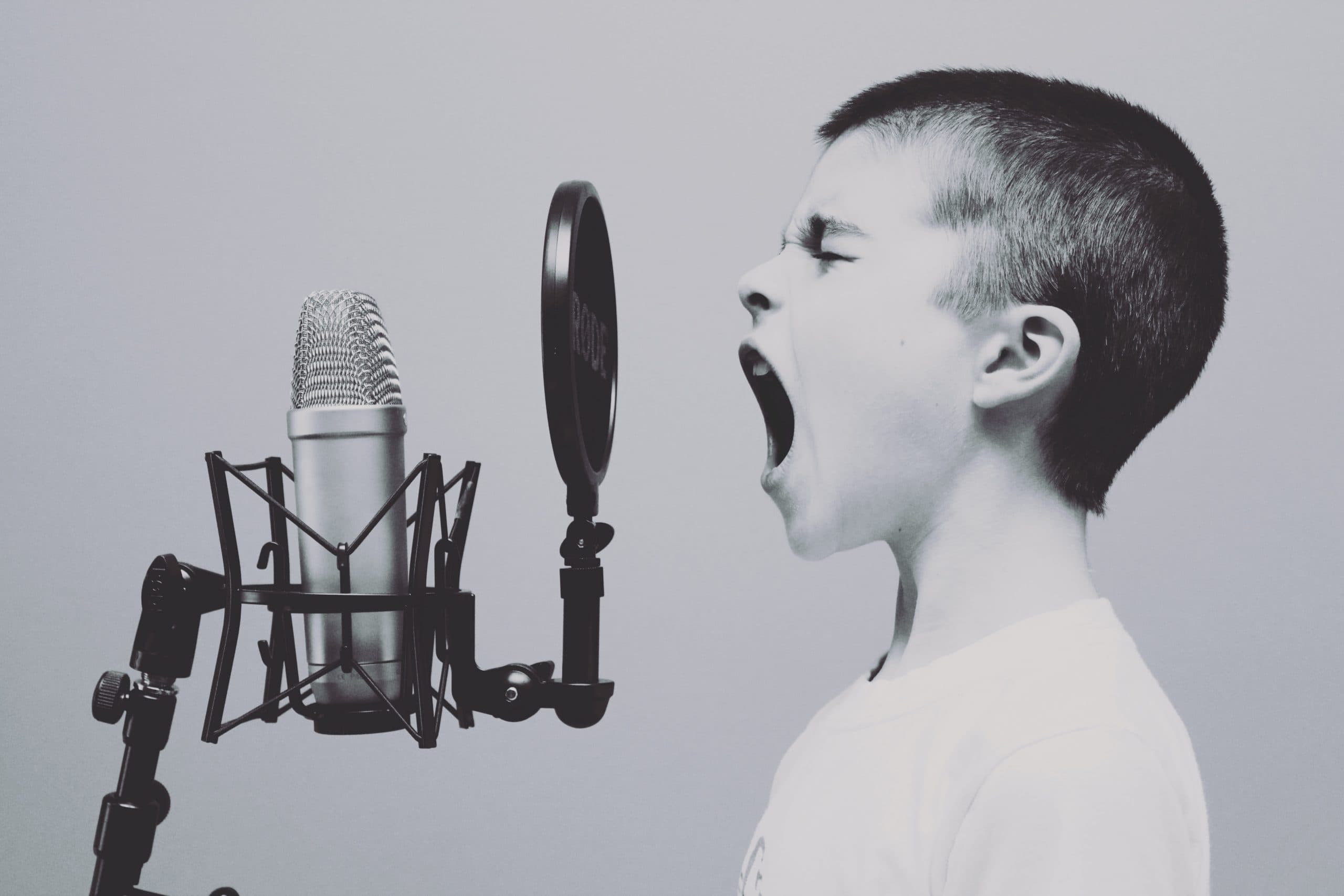 How Your Brand Can Optimise for Voice Search