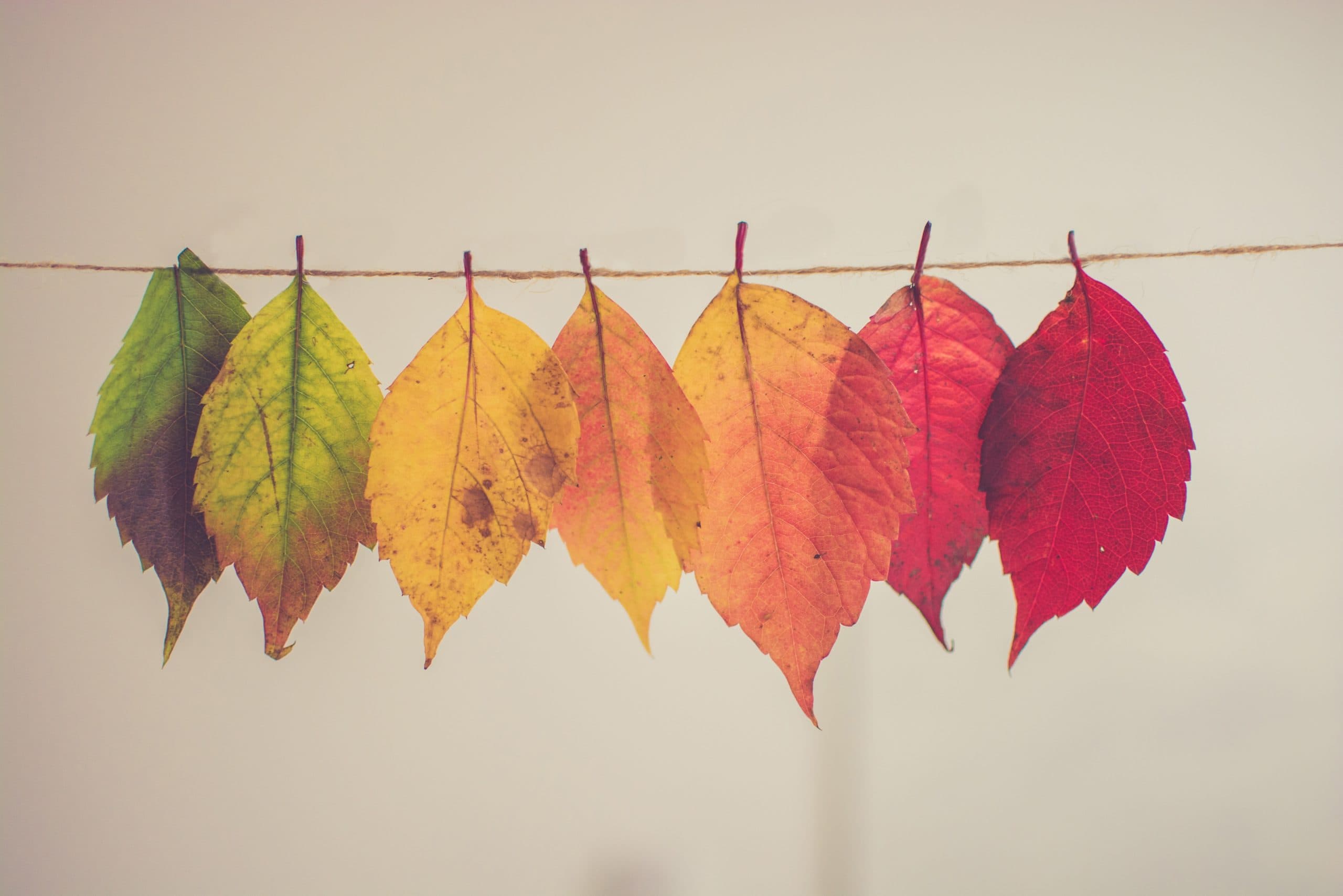 How to prepare your SEO strategy for seasonal events