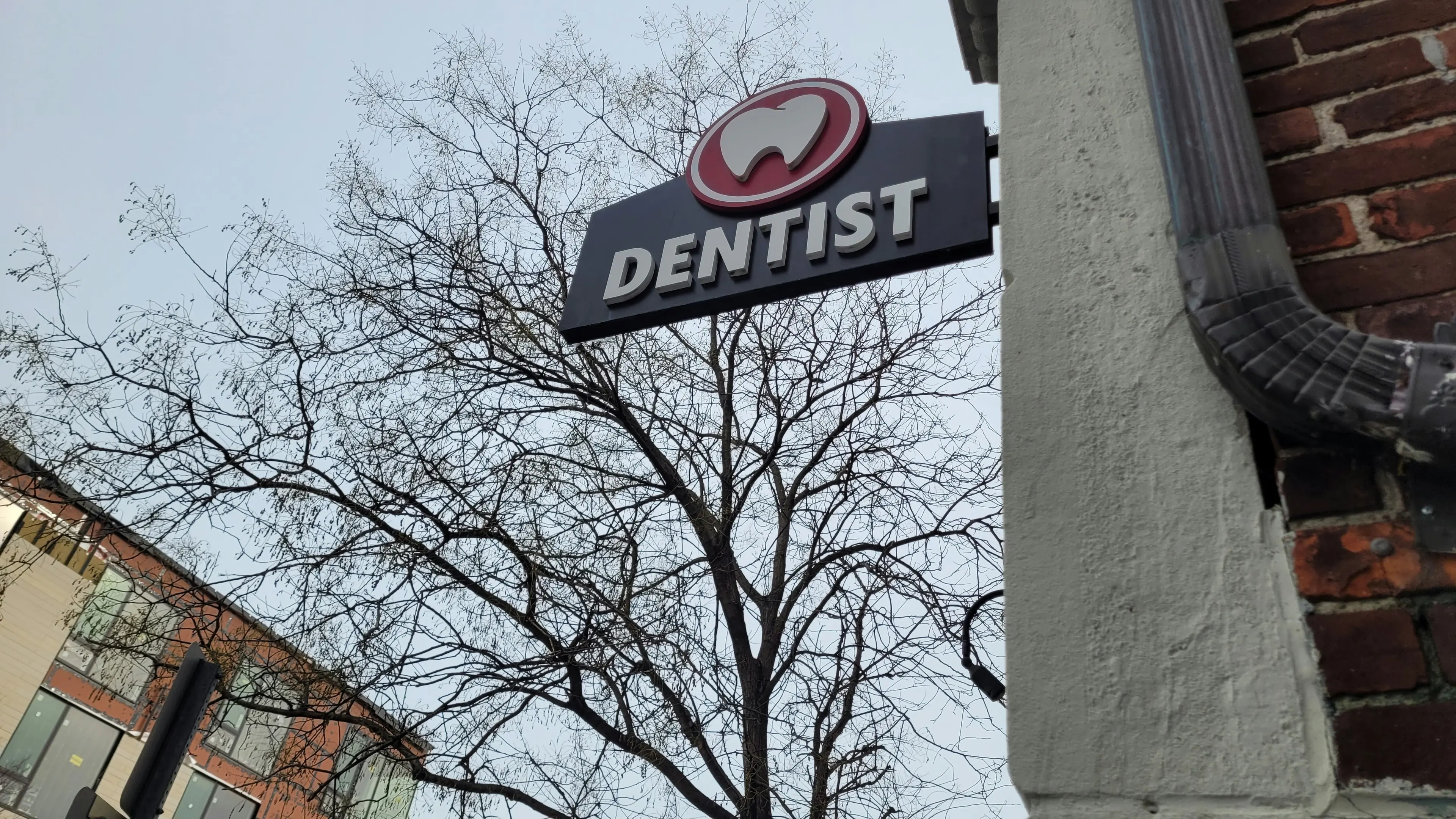 Local SEO for Dentists: How to Attract More Patients in Your Area