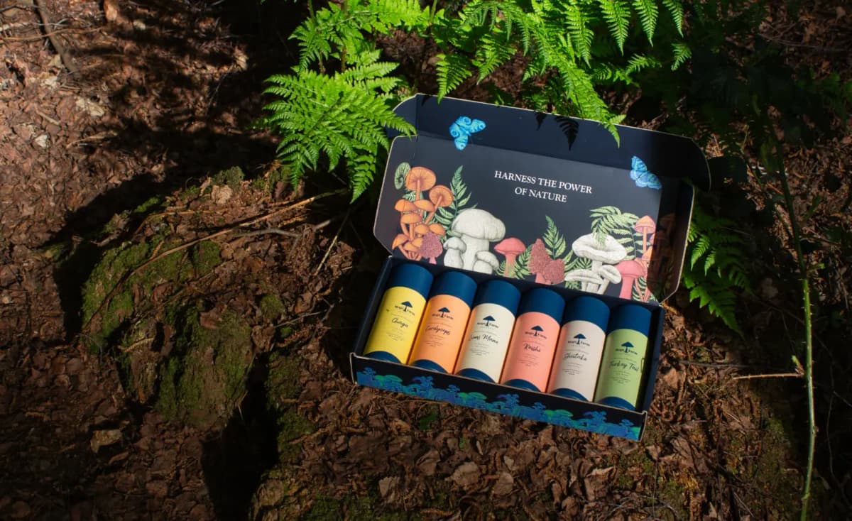 How Kaizen Drove 942% Growth in LLM Traffic for Mogo Farm