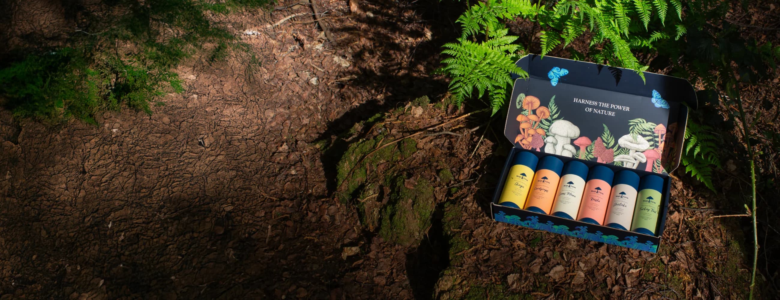 How Kaizen Drove 942% Growth in LLM Traffic for Mogo Farm