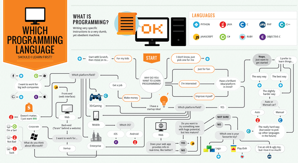 which-programming-language-should-i-learn-first-infographic